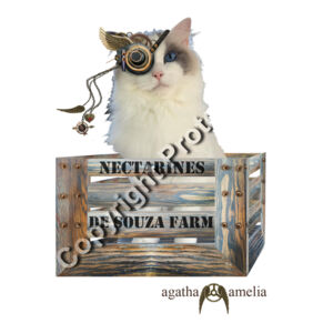 Lady Sarah Thumbnail