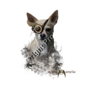 Master Carti Thumbnail