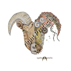 Zodiac Aries Thumbnail