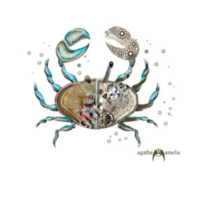 Zodiac Cancer Thumbnail