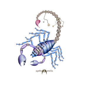 Zodiac Scorpio Thumbnail