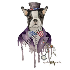 Boston Terrier Gentleman Thumbnail